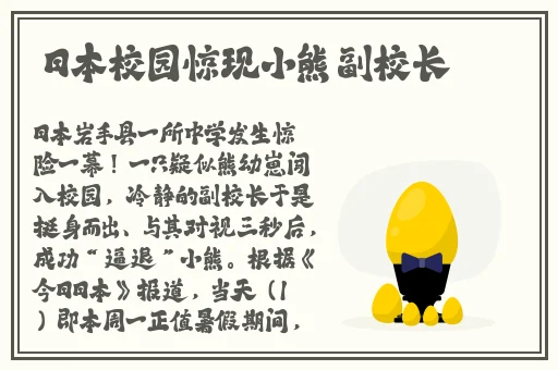国内精品久久久一
